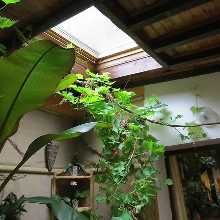 Du Moulin D'audenfort *