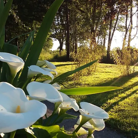 Penzion Du Moulin D'audenfort Audrehem