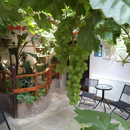 Du Moulin D'audenfort Penzion *